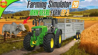 John Deere Farm FS20 #3 - My First Cows | Timelapse Gameplay Farming Simulator 20