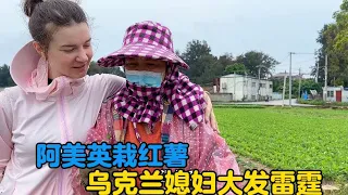 阿美英自己去栽红薯，乌克兰媳妇很生气