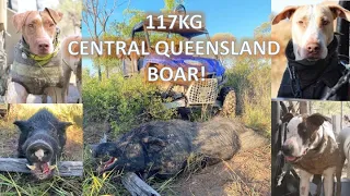 117kg BOAR! Central Queensland Pig Hunting