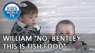 William & Bentley go to an indoor fishing spot with Sam! [The Return of Superman/2019.01.20]