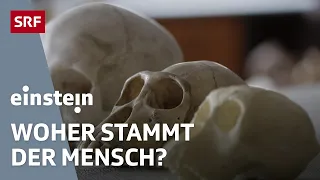 Die Wiege der Menschheit – Stammt der Mensch aus Afrika oder aus Europa? | Einstein | SRF