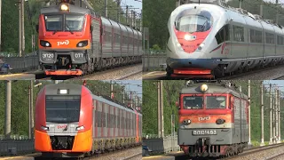 Высокие скорости в Тверской области! Железнодорожный микс: Сапсаны, Ласточки, ЭП20, ЭТ2М
