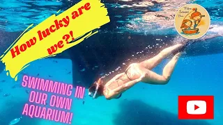 Snorkelling the aquarium under our boat : Ionian Sailing #31