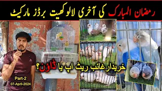 Lalukhet Birds Market 07-April-2024 latest update Last Sunday Birds Market of Ramzan Part-2