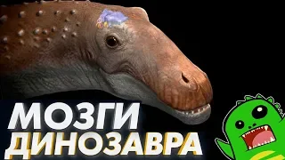 НАСТОЯЩИЕ РЕПТИЛОИДЫ — Насколько умны динозавры? | Мозг и интеллект динозавров