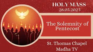 28 May 2023 | Holy Mass in Tamil 08.15 AM (Sunday First Mass) |  Madha TV