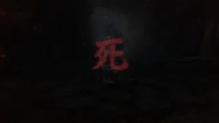 Sekiro Shadows Die Twice EPIC FAIL!