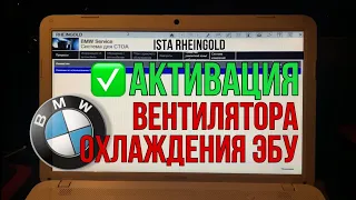 Как проверить вентилятор охлаждения блока ЭБУ. Диагностика через ISTA RHEINGOLD / АКТИВАЦИЯ