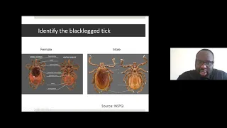 Coffee and Conversation: Ticks Are Trouble - Apr. 13, 2021