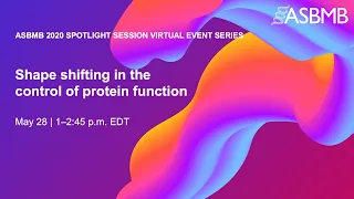 Shape shifting in the control of protein function