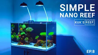 Морской аквариум 60 литров (оборудование) | Marine aquarium 60l