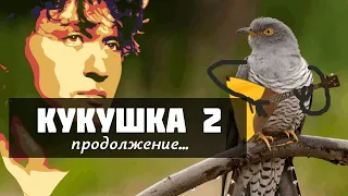 Кукушка 2 на балалайке. Виктор Цой Урок 102.2