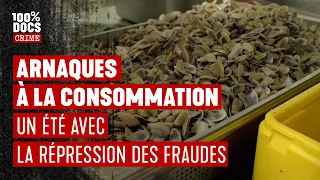 Un Été avec la REPRESSION DES FRAUDES