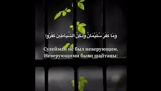 Махди аш-Шишани сура 2 Бакара аят 102