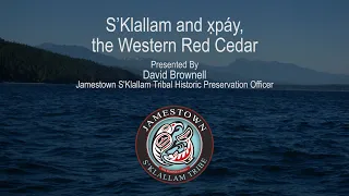 S’Klallam and x̣páy, the Western Red Cedar