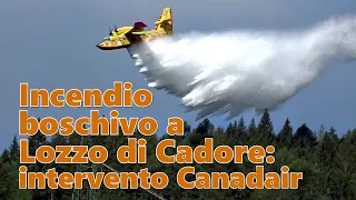 Incendio boschivo a Lozzo di Cadore (26-07-2022): intervento Canadair