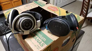 Sennheiser HD600 vs HD800 Comparison