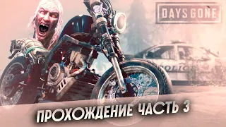 Days Gone ►  Залетаем в зомби-ленд 3