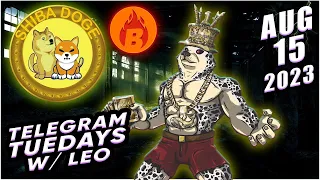 Shiba Inu Shibarium Bone Shib Multi Millionaire Whales Launched The ShibaDoge & Burn Token On ETH