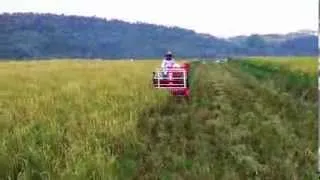 4lz-0.6 mini  combine harvester