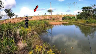 PARAMOS EM UMA REPRESA NA BEIRA DA ESTRADA E OLHA A SURPRESA, ESTAVA INFESTADA DE PEIXES FAMINTOS