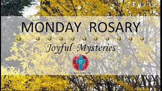 Monday Rosary • Joyful Mysteries of the Rosary 💙 April 8, 2024 VIRTUAL ROSARY - MEDITATION