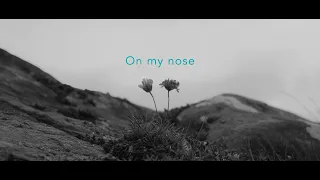 José González - Honey Honey (Lyric Video)