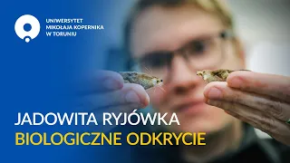 Jadowita ryjówka - biologiczne odkrycie