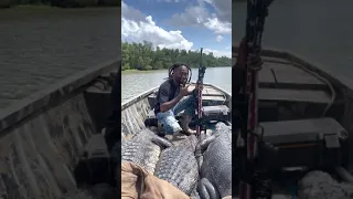 Black Rambo Aligator hunting 😱 on history channel swamp people season 13 episode 9