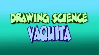 Drawing Science: Vaquita