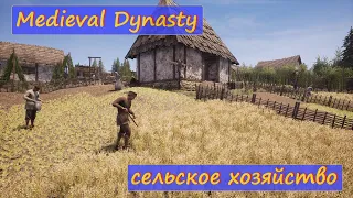 Medieval Dynasty, Гвйд: Сельское хозяйство. Земледелие и садоводство. Управление полями. Навыки.