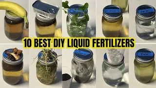 Top 10 Homemade Liquid Fertilizers || DIY Plant Food That Will Transform Your Garden