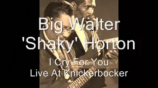 Big Walter Horton-I Cry For You (Live At Knickerbocker)