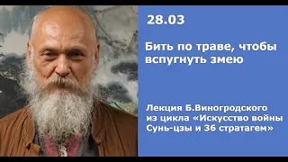 Б.Виногродский: лекция по стратагеме «Бить по траве, чтобы вспугнуть змею» |Искусство войны Сунь-цзы