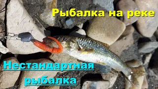 Рыбалка на реке. Рыбалка в Иркутской области