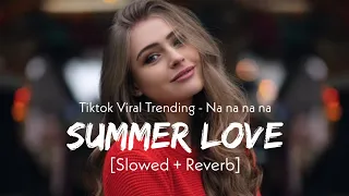 Summer Love (Slowed And Reverb) - David Tavare | Na na na na | Tiktok Famous | Song | Sajid World
