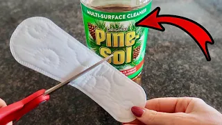 Put $1 Pine Sol on your Panty Liner 💥 Miracle & Ingenious Trick! (WATCH THIS)