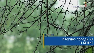 🌧Прогноз погоди на 5 квітня: помірний дощ