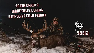 North Dakota Giant Whitetail Falls During A Massive Cold Front
