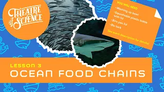 Interactive Science Lesson: Oceans Lesson 3: Food Chains!