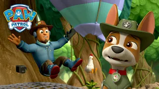 Pieski ratują Chickalettę przed krokodylami i nie tylko! - Psi Patrol PAW Patrol po polsku