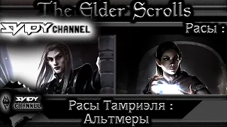 The Elder Scrolls|Расы Тамриэля: Альтмеры(Лор)
