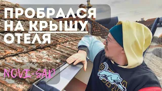 Как сделать ВНЖ в Сербии? Белград и Нови-Сад | Vlog 11