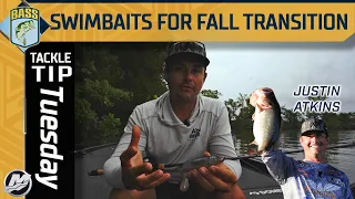 One big meal — Swimbait fishing in the Fall