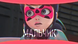 「MLB」| МАЛЬЧИК | Lady Bug