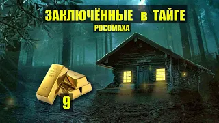 ЗОЛОТОЙ ПРИИСК ВЗБУНТОВАЛСЯ в ЛЕСУ СЛУЧАЙ ЗАКЛЮЧЁННЫЕ в ТАЙГЕ ДОМ в ЛЕСУ ИСТОРИИ из ЖИЗНИ СЕРИАЛ 9