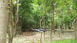 ESKY F150 V2 Airwolf in the woods