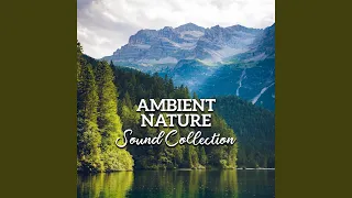 Nature Sounds