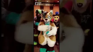 SKIBIDI - Furry Edition