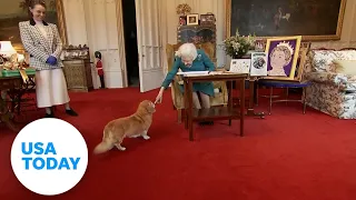 Queen Elizabeth II’s corgis rehomed with Duke and Duchess of York | USA TODAY